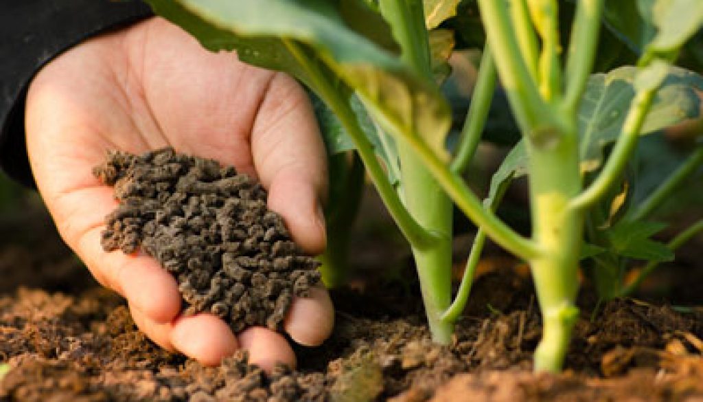 fertilizer-products-1