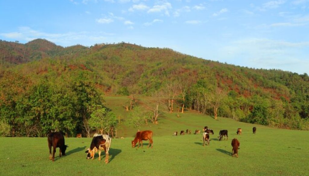 gai-charaudai-2-696x454