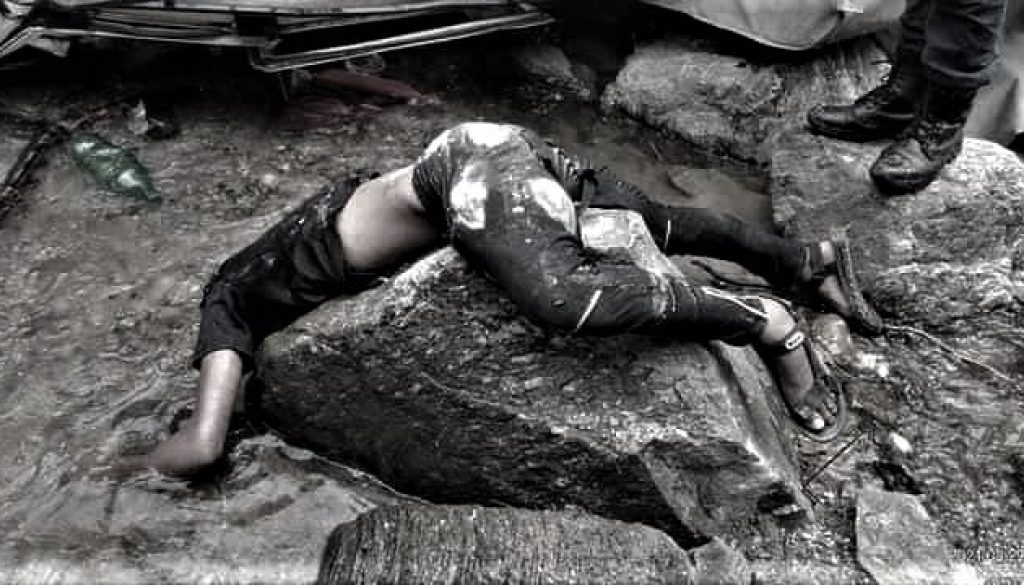 240866428_550719776046615_5330764875939365371_n