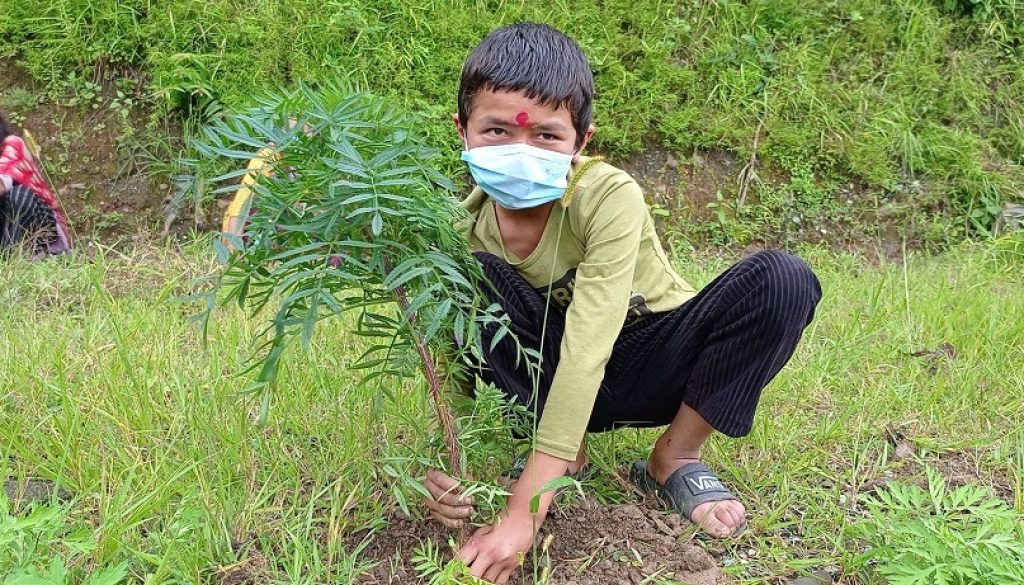 bal_club_forestation3_mb8eCeKP7b