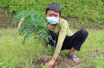 bal_club_forestation3_mb8eCeKP7b