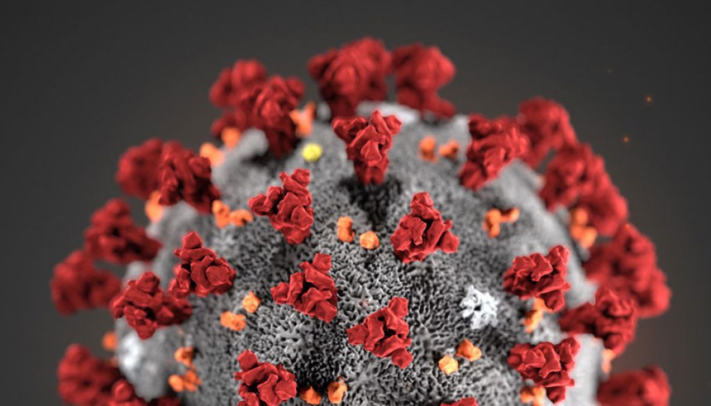 corona-fr_yMD9IAO2Cn