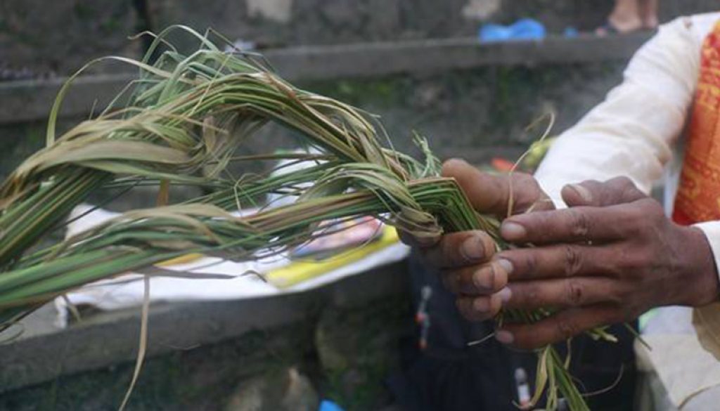 Kuse_AUsi_jeFQ9G1uZi_GnkIpsxKMH