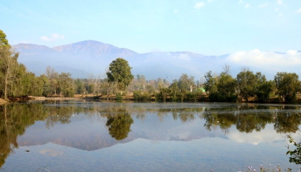 bulbul_taal_15_DzcySEiwjn