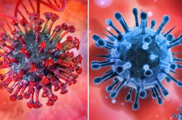 coronavirus-covid-coinfection-variants-shutterstock-collage