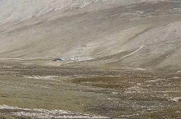 humla-limi