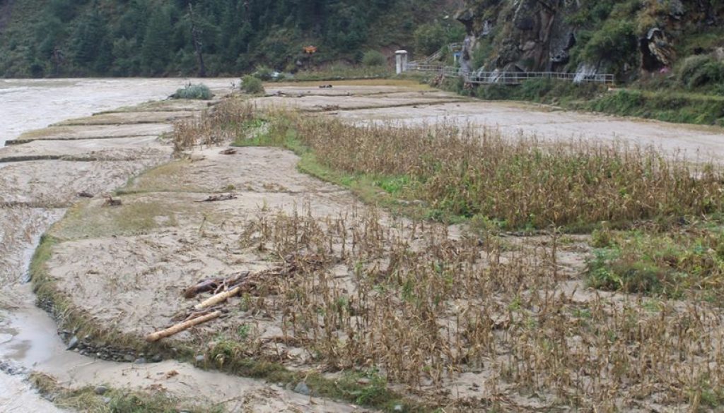 1634810851_badhi jumlaa-1200x560