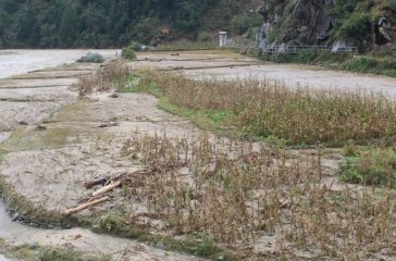 1634810851_badhi jumlaa-1200x560