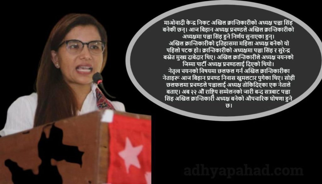 244353619_549397739495450_1895114710278820605_n