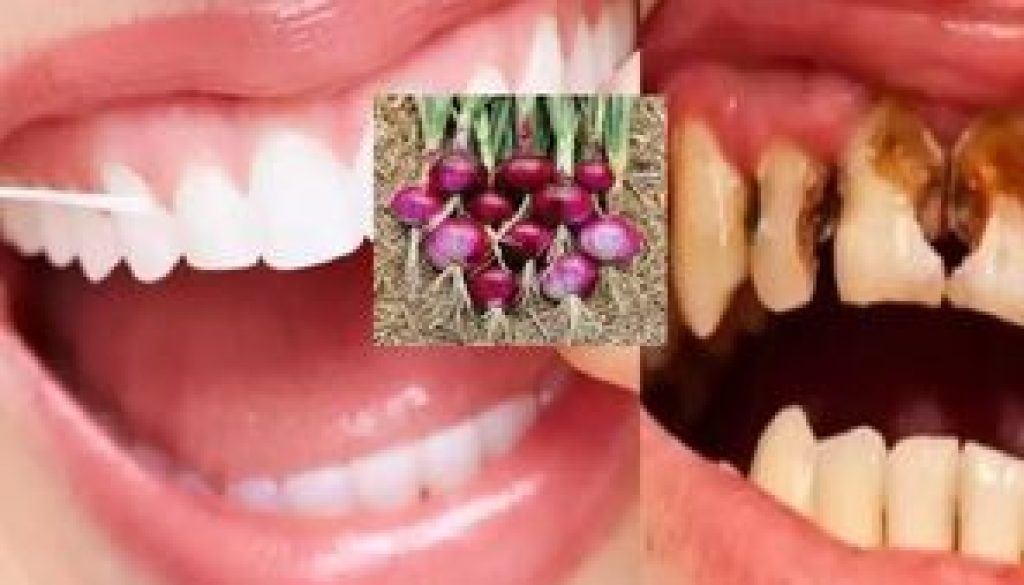 246053089_1468957423497736_2159584304167416198_n