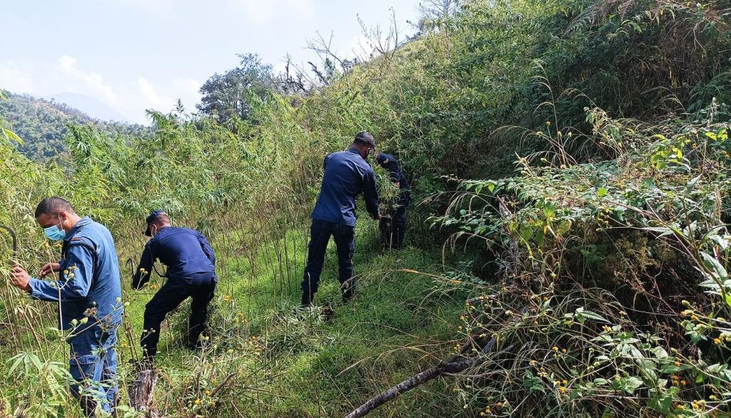 755717096246430769_575375693795758_6573341419332797294_n