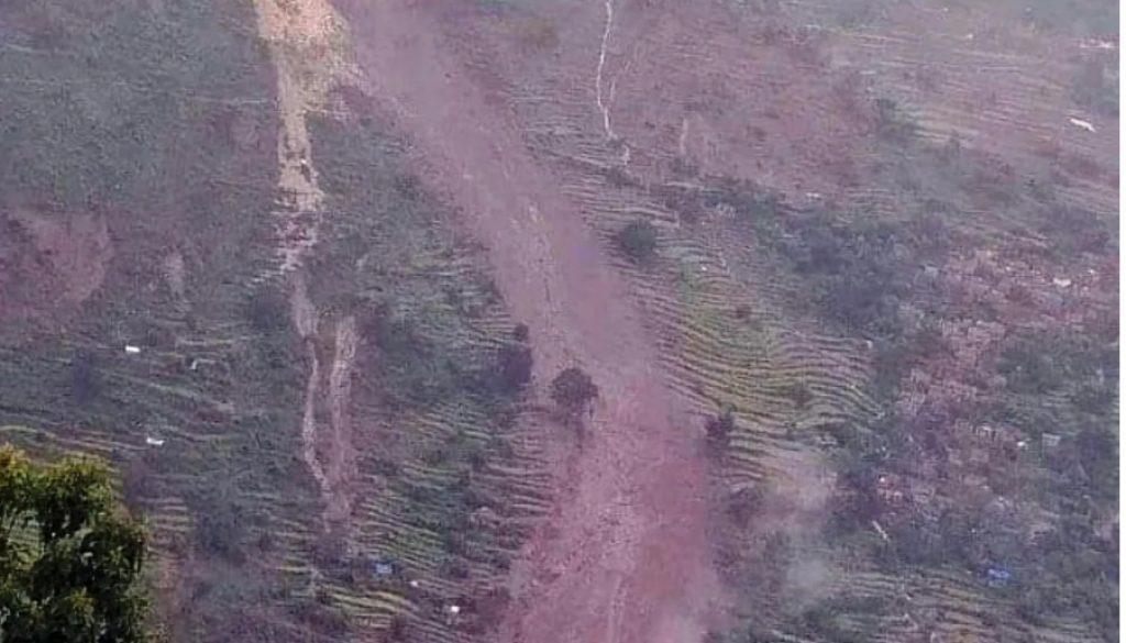 inbound5939101676011831065