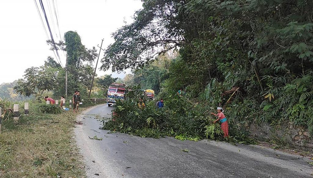 inbound7480618917599284326