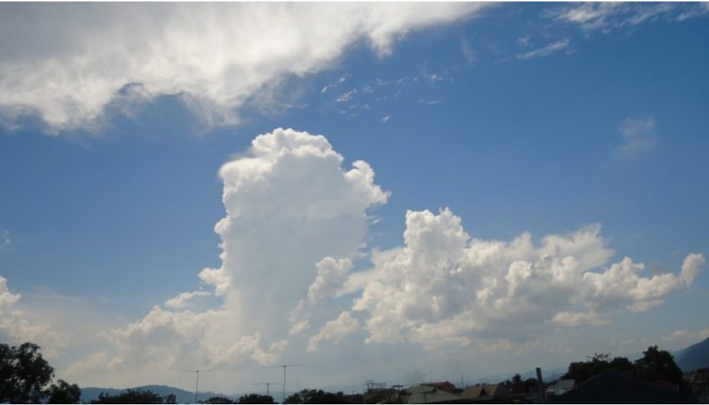 inbound9085014162003506071