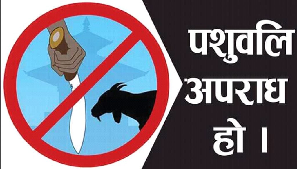 inbound953481674566571241