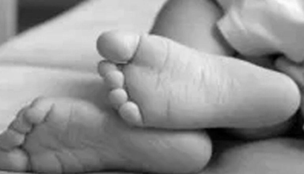 inbound8480829194138313947