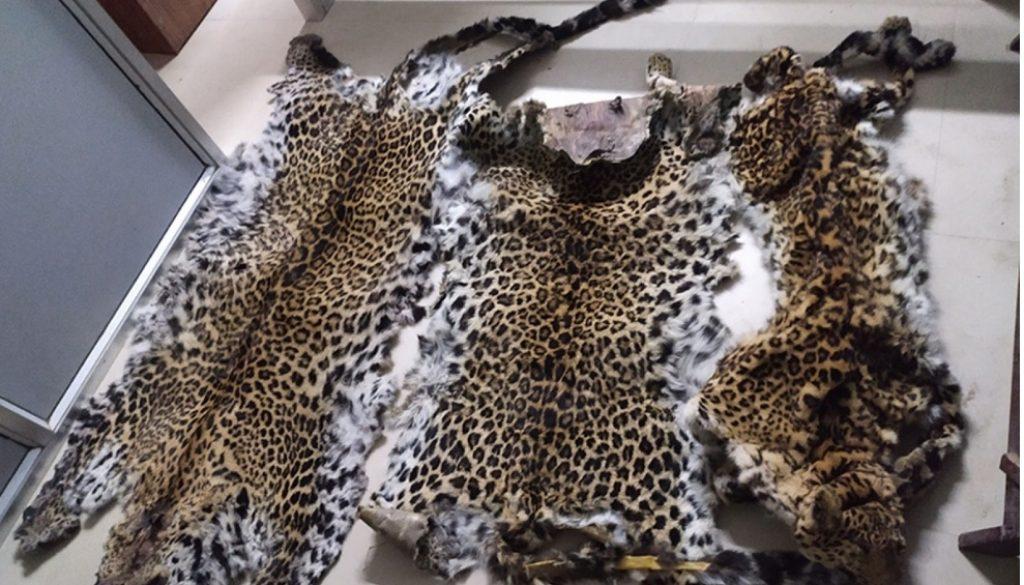 inbound9137673070632700387