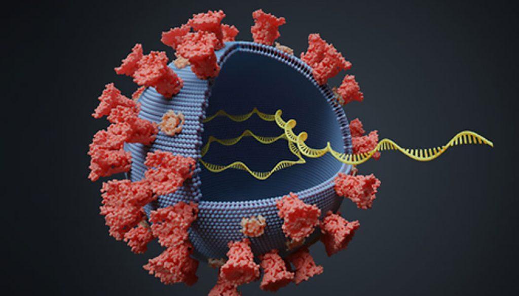 corona-virus_0DeFZFZStn