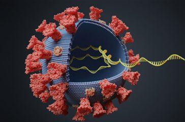 corona-virus_0DeFZFZStn