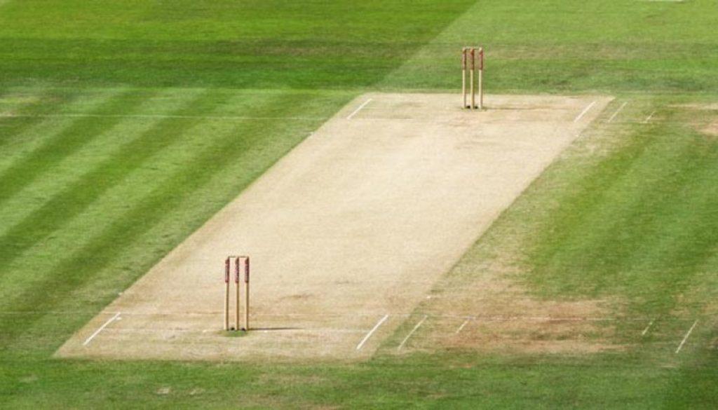 cricket-pitch