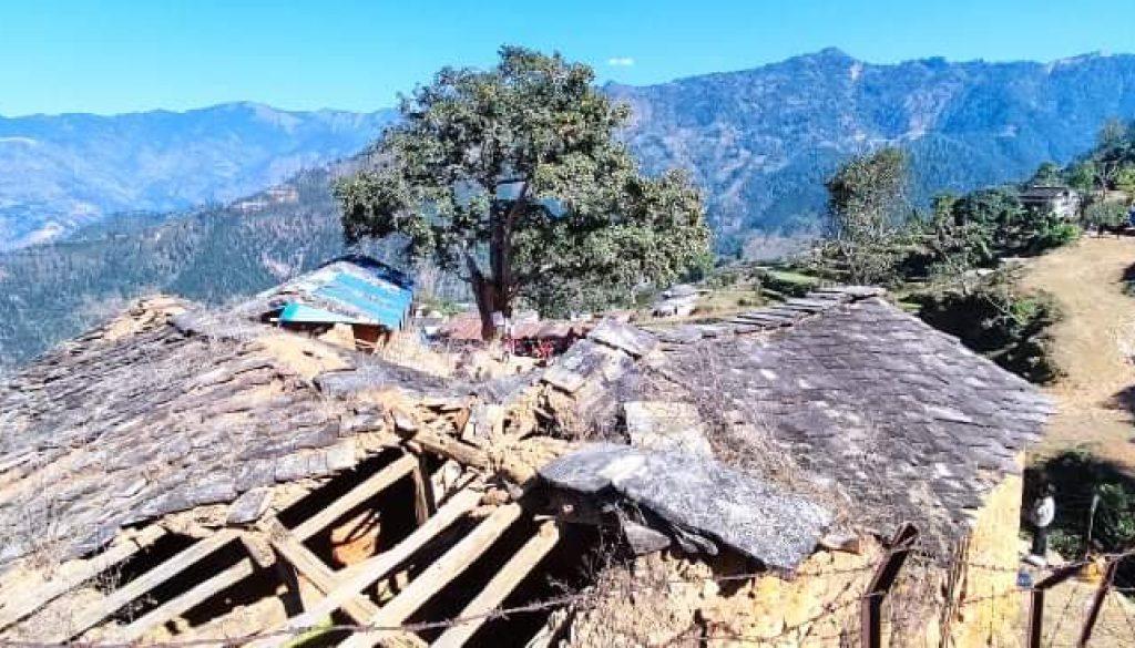 inbound288569490354286041