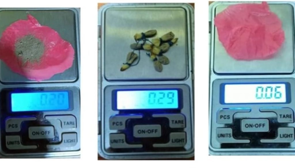 272464411_632913927915492_7903482337184024922_n