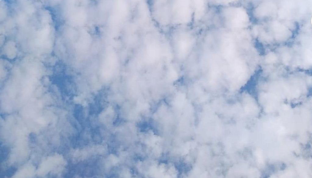 inbound2754143896538116975