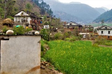 aali-gau-achham-
