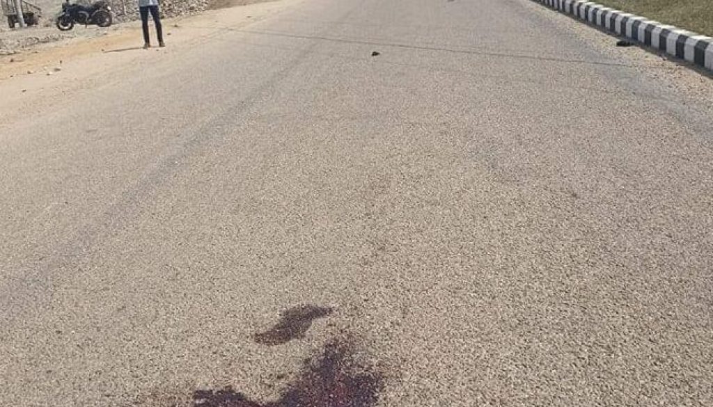 275249580_1029066161353109_3168939044059999207_n-721x375