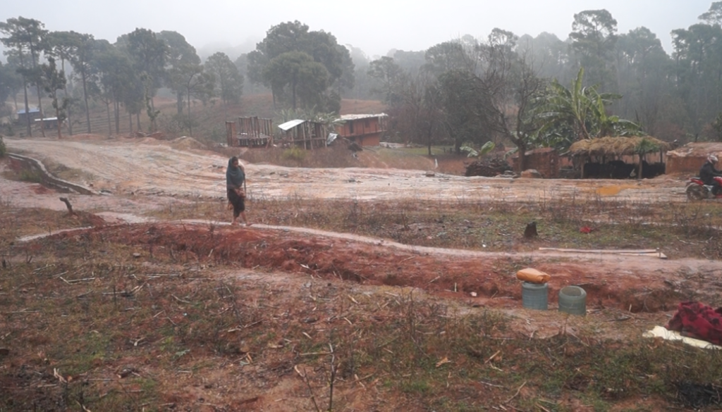 inbound8047738795922200720