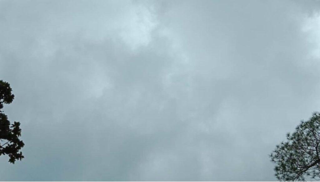 inbound8050749435518195564