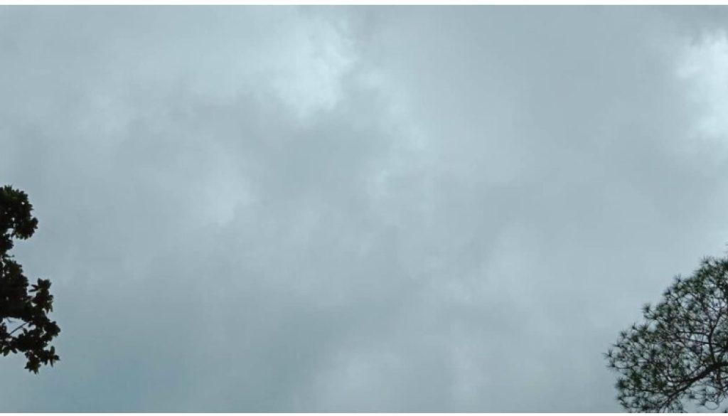 Screenshot_2022-08-26-07-18-53-82_a23b203fd3aafc6dcb84e438dda678b6