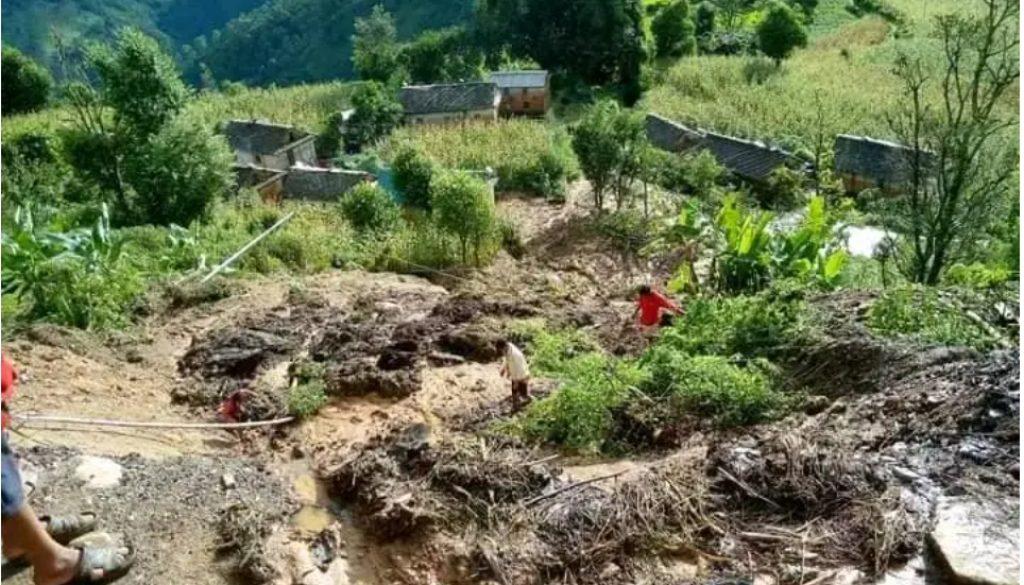 inbound8742686300922583271