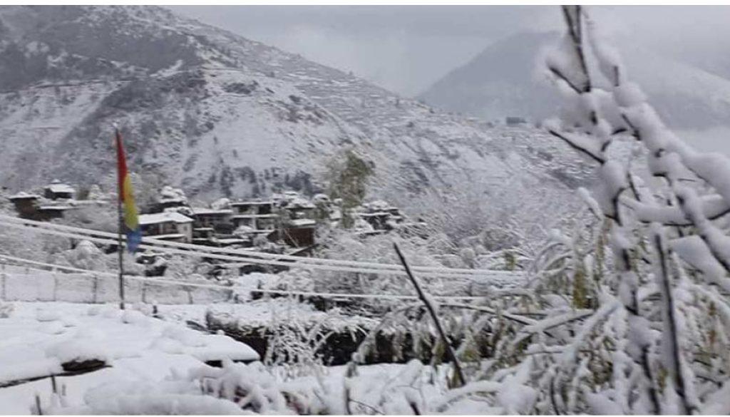 inbound6349760660861956789