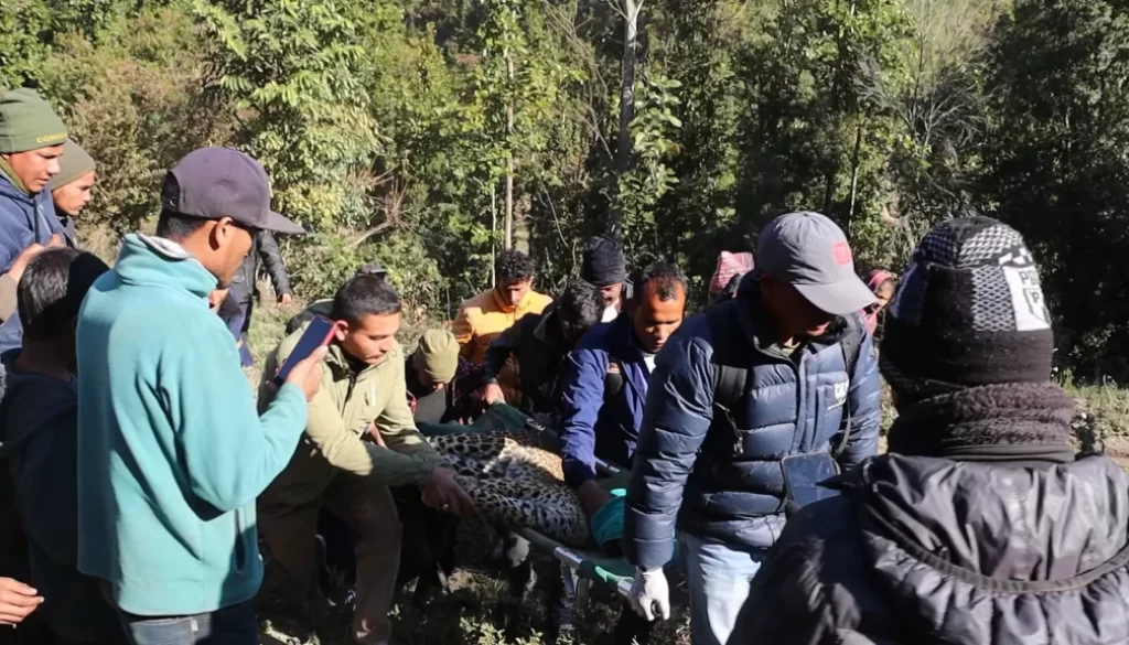 inbound7830973317553529811