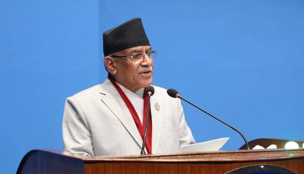 inbound8387953195870431268