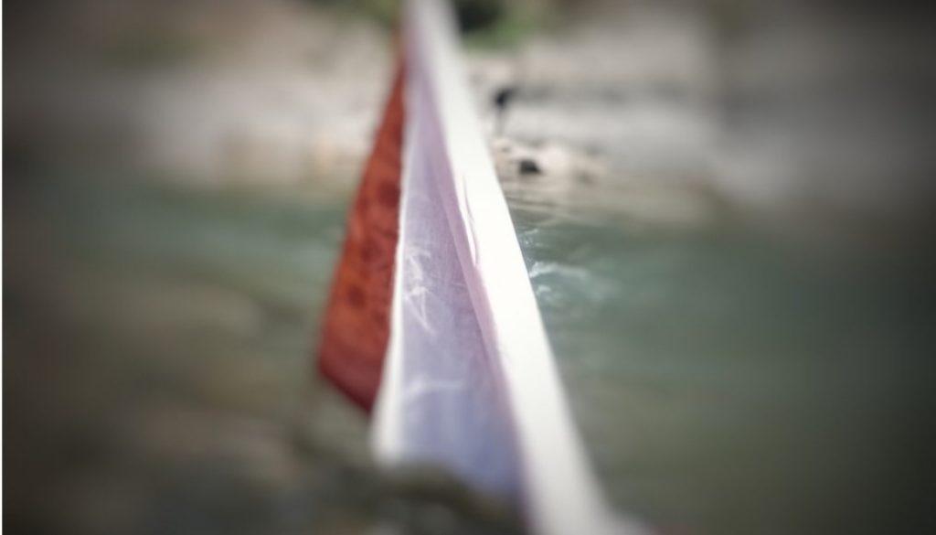 inbound4262570498818659727