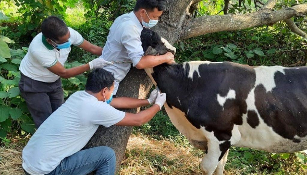 Screenshot_2023-07-06-18-00-32-04_a23b203fd3aafc6dcb84e438dda678b6