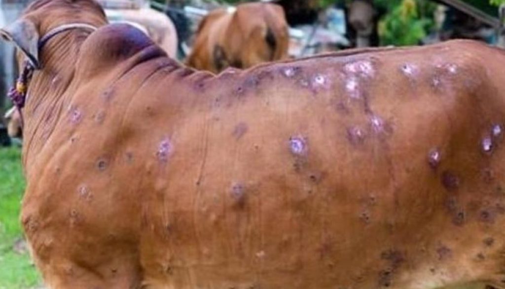 Screenshot_2023-07-27-14-27-01-54_a23b203fd3aafc6dcb84e438dda678b6