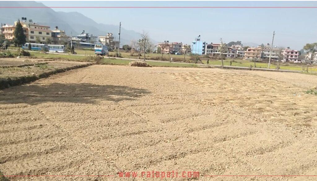 inbound9090932346508526399