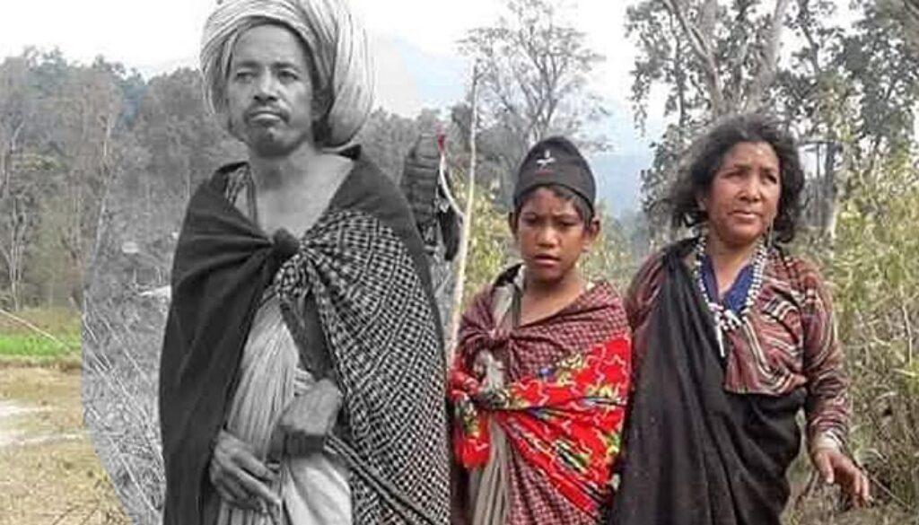 1745913569_Raute-1200x560-1