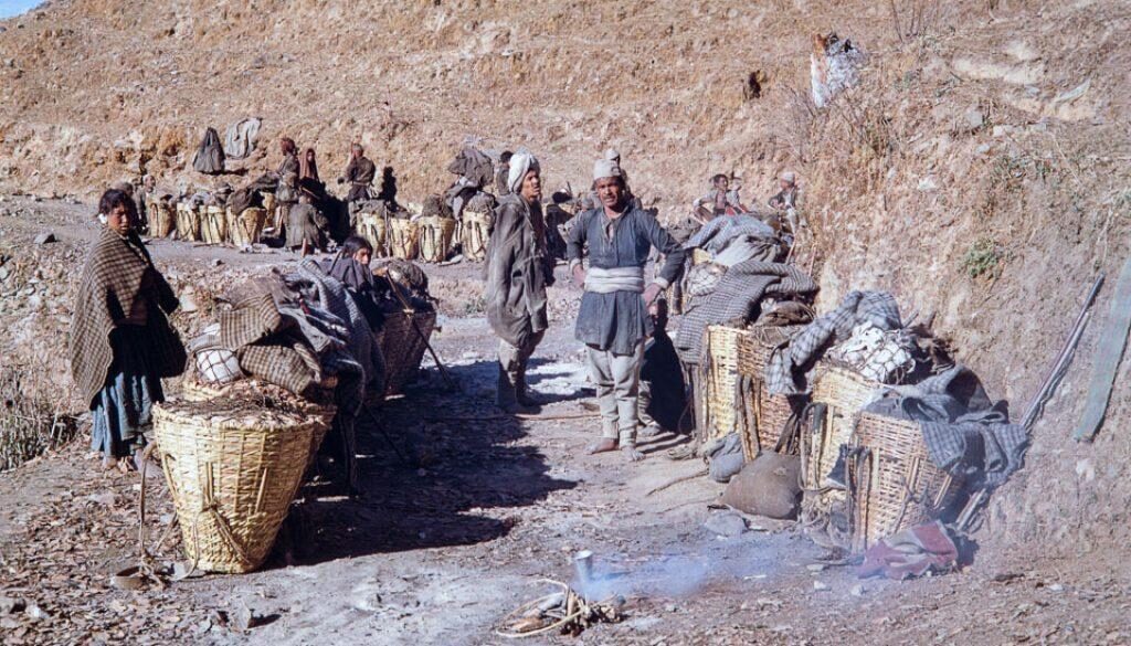 3fda2af6-0c0e-4524-a423-db5e244b2fb2