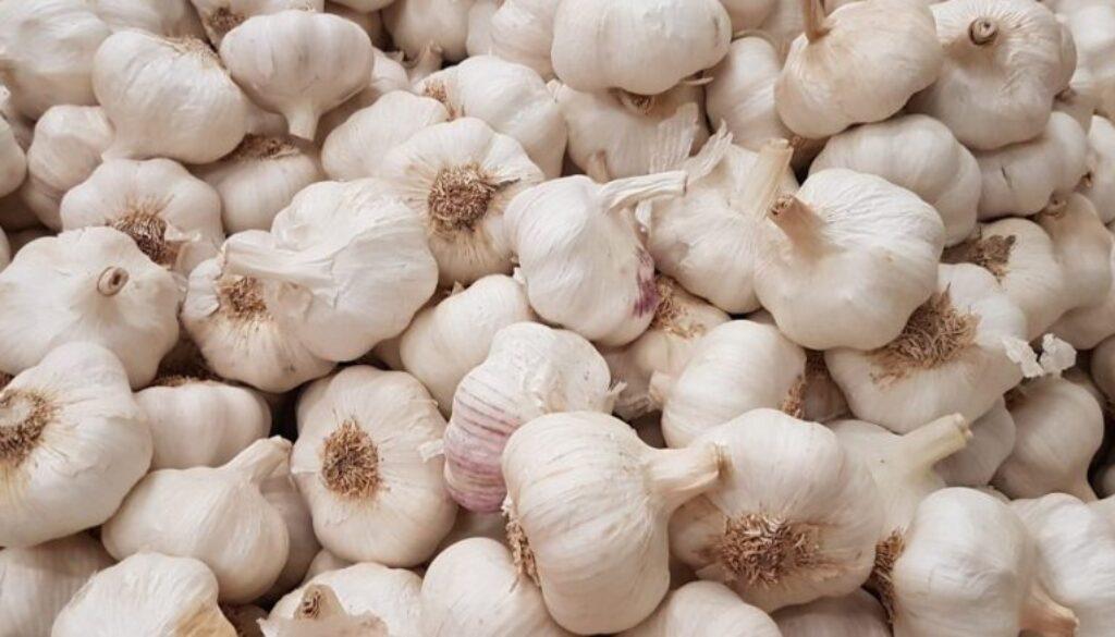 CREATOR: gd-jpeg v1.0 (using IJG JPEG v62), quality = 82