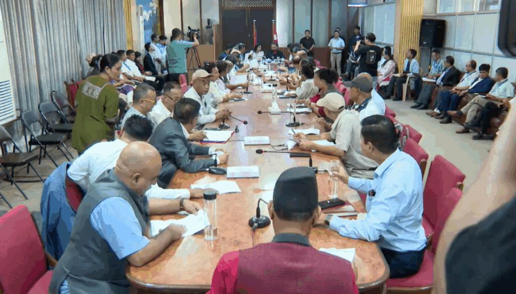 405679028518715210_1182025793922384_1359979681021067174_n_Wrupj89DbR